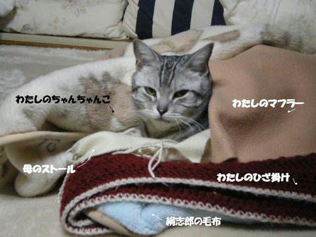 手包み？