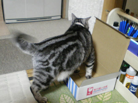 目立つよ。。