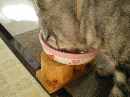 べろべろ・・・