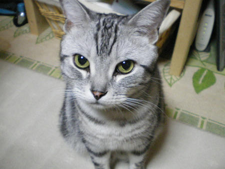 そんなこといって～