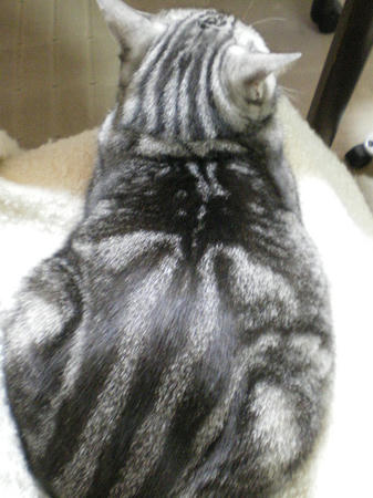 く、首が。。