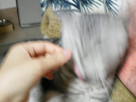 うりゃ！！