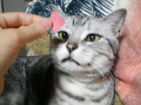 そ～っと・・・