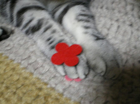 サンドイッチ♪