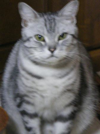 ブレブレ。。