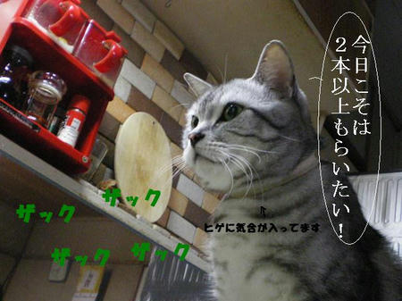肉以上の食いつきよう。。
