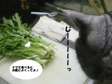 「全部食べたい」