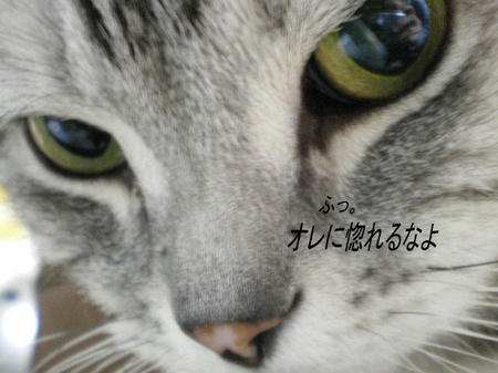彫れ、じゃない惚れちゃう？