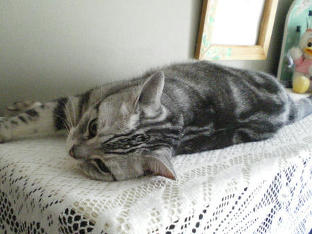犯人は現場にいる。。