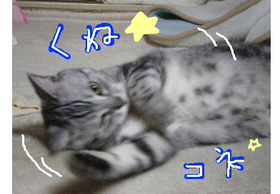 コネコネ