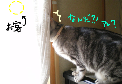 ナゾの客