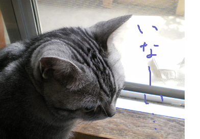 お帰りいただきました