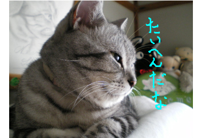 他人事？