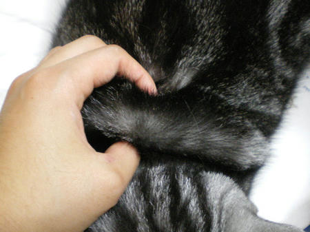 むにっとな。