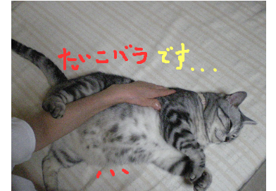 こんなに丸いとは。。