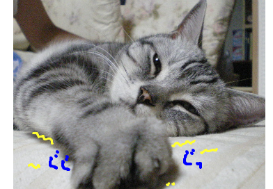 幸せ～ってか？