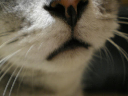 IMGP3130.JPG