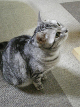 IMGP3291.JPG