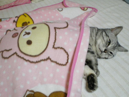 IMGP3491.JPG