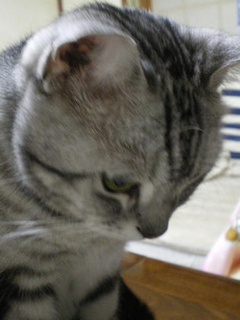 IMGP3520.JPG