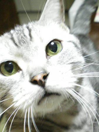 IMGP3859.JPG