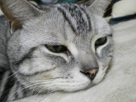 IMGP4036.JPG