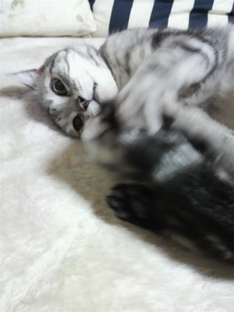 P1010049.JPG