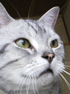 IMGP4389.JPG