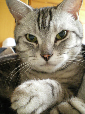IMGP4409.JPG