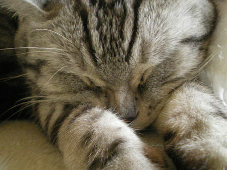 IMGP4405.JPG