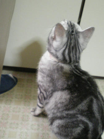 IMGP4426.JPG