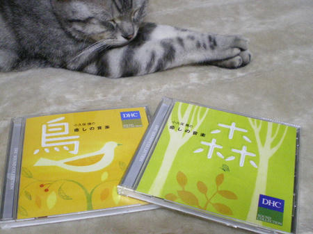 IMGP4449.JPG