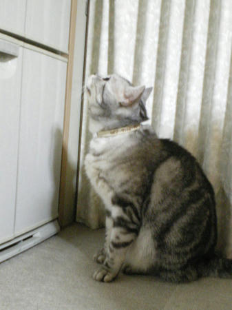 IMGP4469.JPG