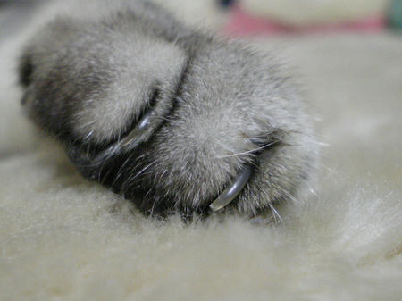 IMGP4569.JPG