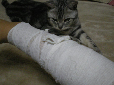 IMGP4560.JPG