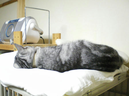 IMGP4659.JPG