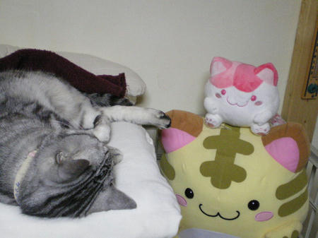 IMGP4699.JPG
