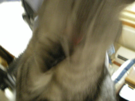 IMGP4726.JPG