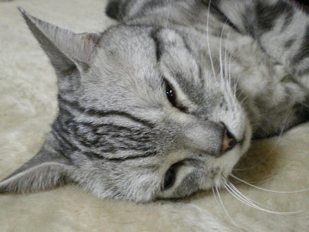 IMGP4839.JPG