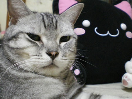 IMGP4946.JPG