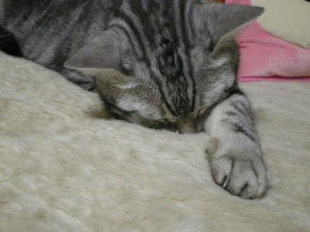 IMGP4924.JPG