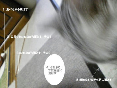 e26bfd92.jpeg