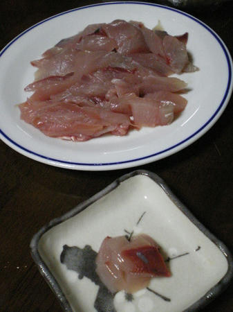IMGP5089.JPG