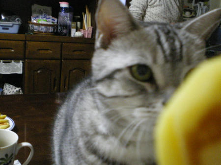 IMGP5108.JPG