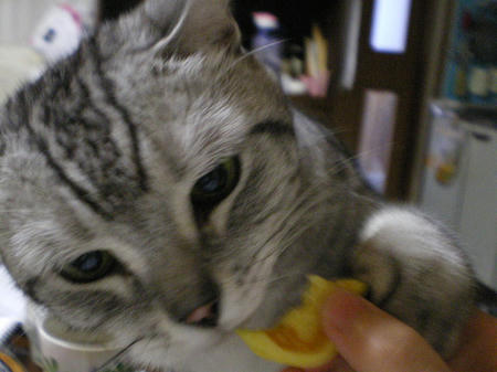 IMGP5114.JPG