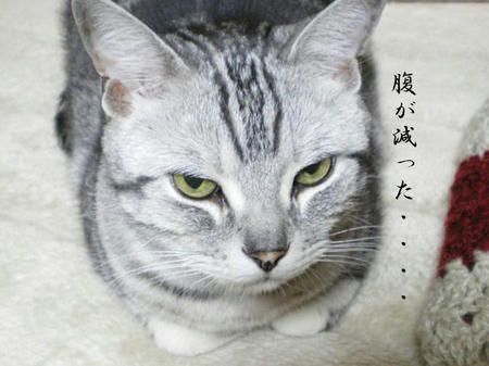 IMGP2468.JPG