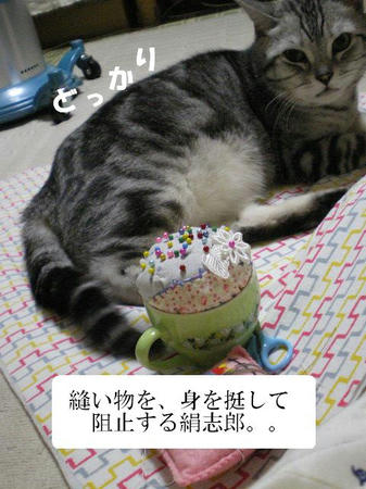 IMGP5146.JPG