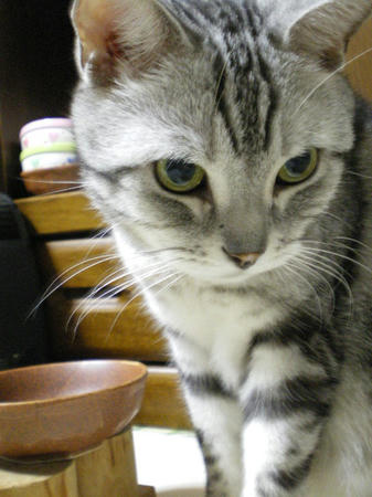 IMGP4459.JPG