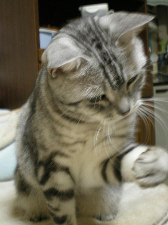 IMGP5196.JPG