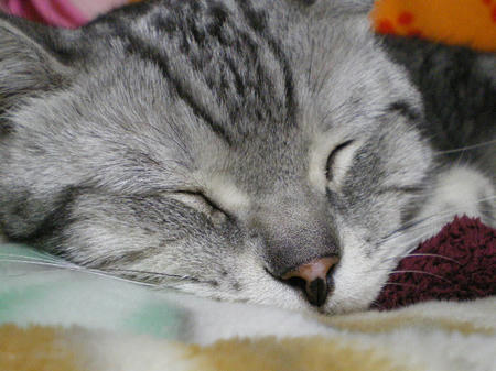 IMGP5444.JPG